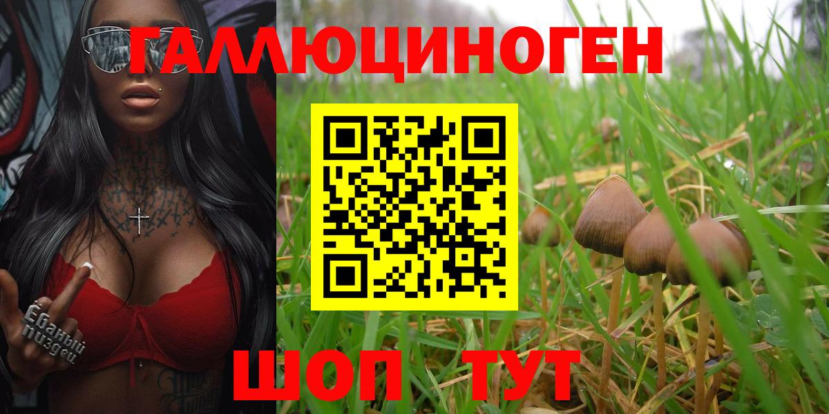 Галлюциногенные грибы Cubensis Каменка